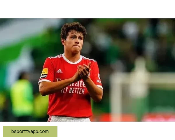 B费力荐接班人即使降级也要卖6000万仍比帕尔默便宜